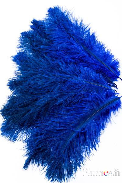 Autruche - 30-40 cm - gris naturel-bleu